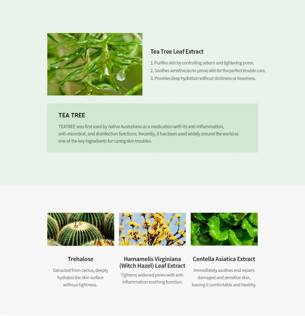 private label Tea Tree Sheet Mask